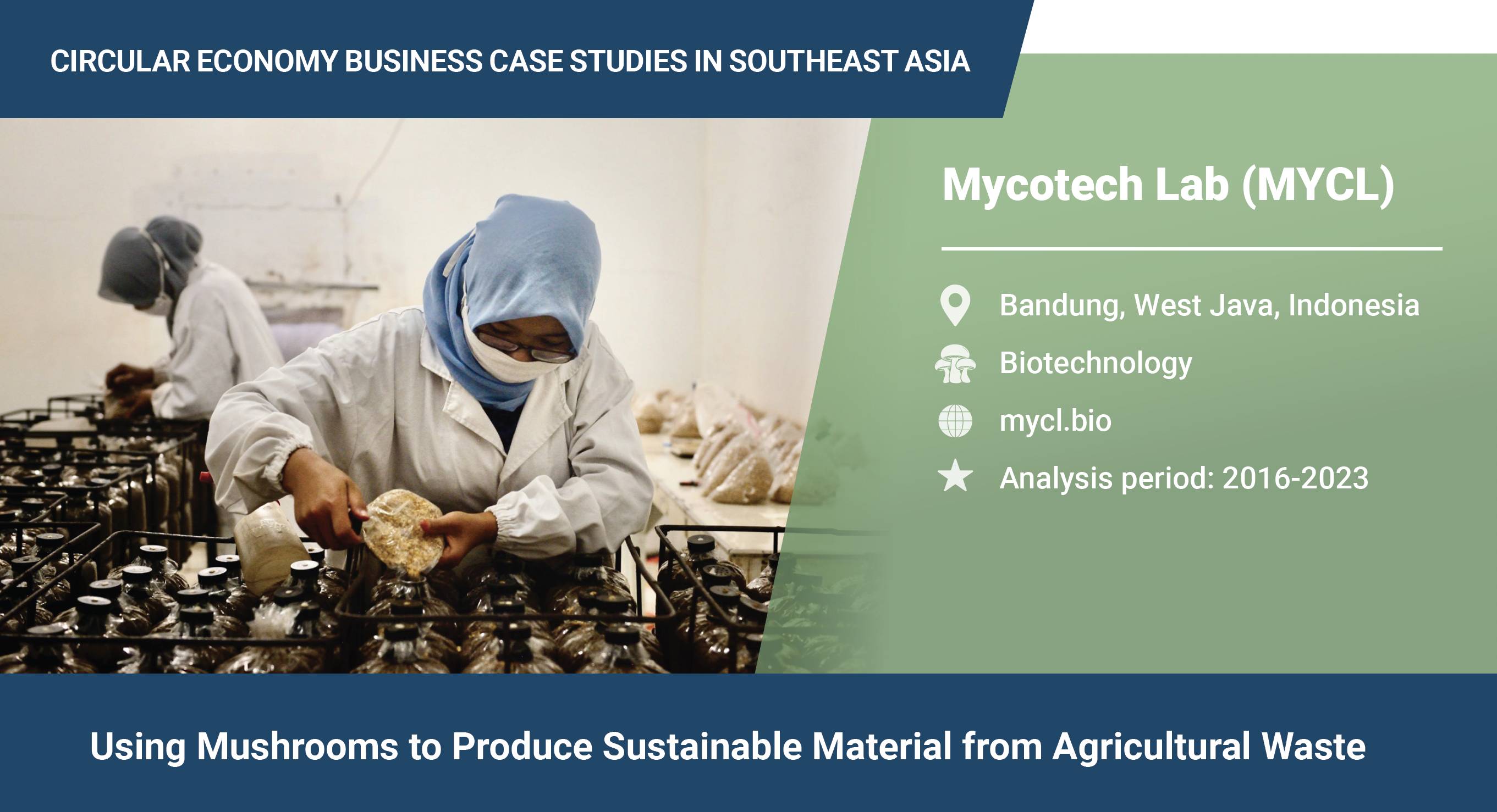 Using mushrooms to produce sustainable materials from agricultural waste